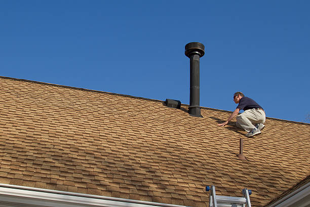 Best Roof Insulation Installation  in Hamlin, WV