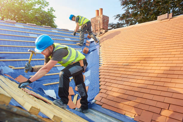 Best Emergency Roof Repair  in Hamlin, WV
